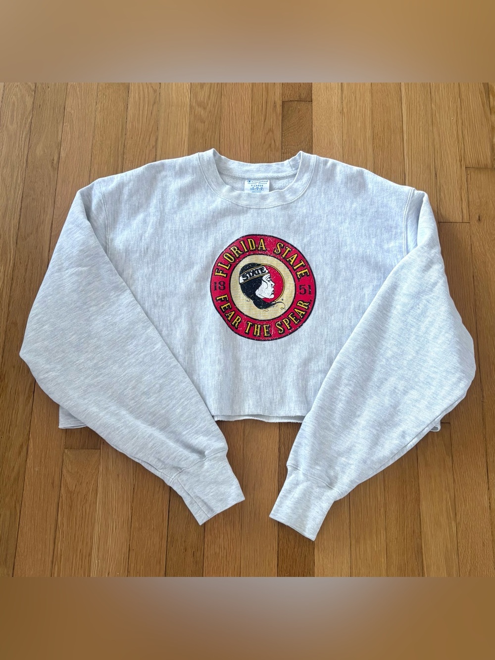 Champion Reverse Weave FSU Seminoles Cropped Sweatshirt XL Womens Florida State